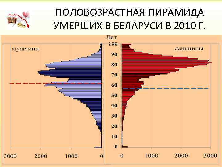 ПОЛОВОЗРАСТНАЯ ПИРАМИДА УМЕРШИХ В БЕЛАРУСИ В 2010 Г. 