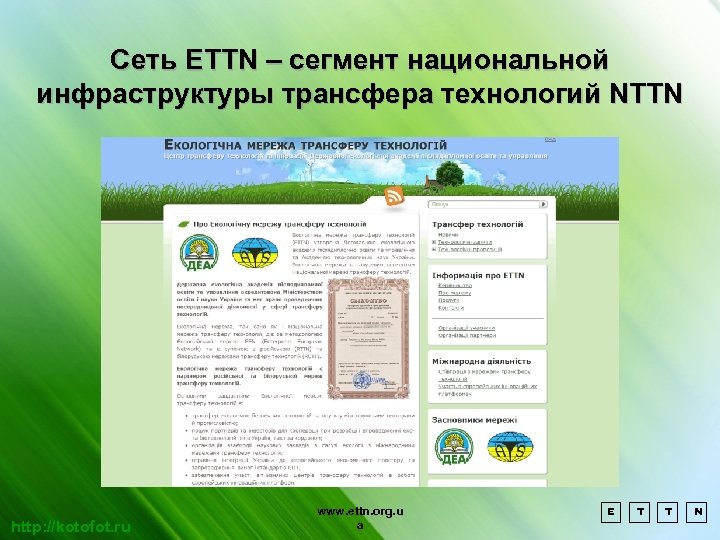 Сеть ETTN – cегмент национальной инфраструктуры трансфера технологий NTTN http: //kotofot. ru www. ettn.