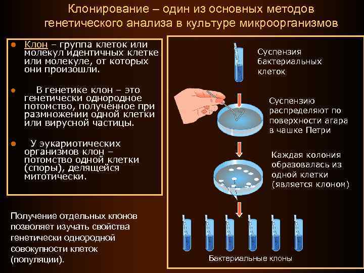 Клонирование голоса по образцу онлайн