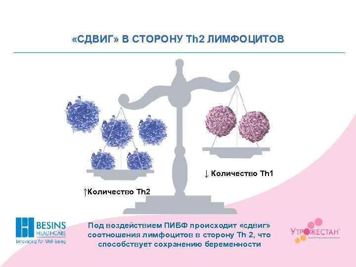  «СДВИГ» В СТОРОНУ Th 2 ЛИМФОЦИТОВ ↓ Количество Th 1 ↑Количество Th 2