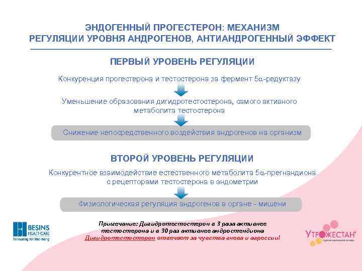 ЭНДОГЕННЫЙ ПРОГЕСТЕРОН: МЕХАНИЗМ РЕГУЛЯЦИИ УРОВНЯ АНДРОГЕНОВ, АНТИАНДРОГЕННЫЙ ЭФФЕКТ ПЕРВЫЙ УРОВЕНЬ РЕГУЛЯЦИИ Конкуренция прогестерона и