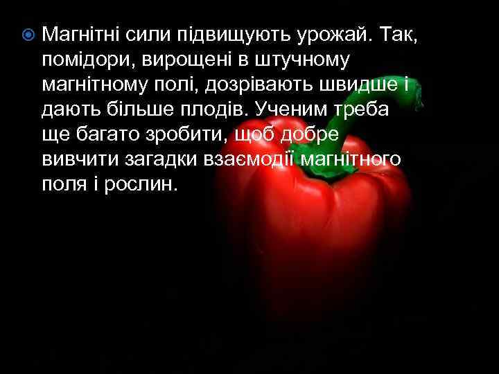  Магнітні сили підвищують урожай. Так, помідори, вирощені в штучному магнітному полі, дозрівають швидше