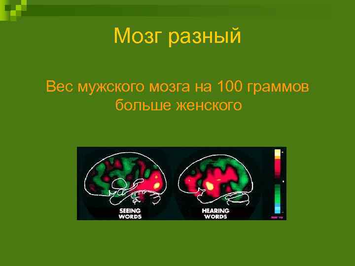 Мозг разный Вес мужского мозга на 100 граммов больше женского 