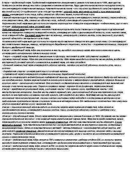 5 пара – тройничный нерв. Тройничный нерв является смешанным и самым толстым из всех