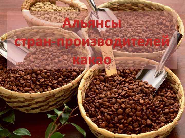 Альянсы стран-производителей какао 