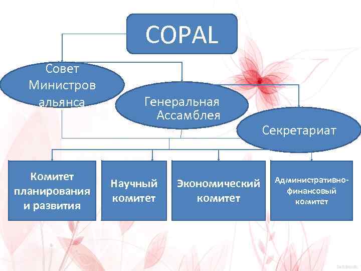 COPAL Совет Министров альянса Комитет планирования и развития Генеральная Ассамблея Научный комитет Экономический комитет