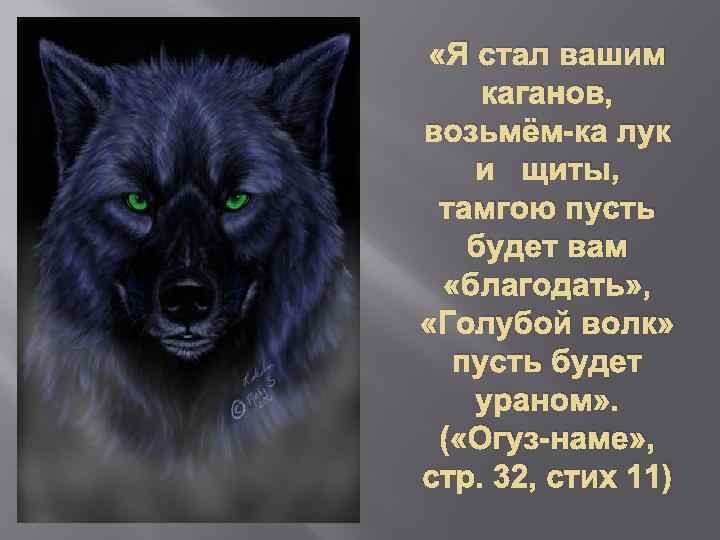  «Я стал вашим каганов, возьмём-ка лук и щиты, тамгою пусть будет вам «благодать»