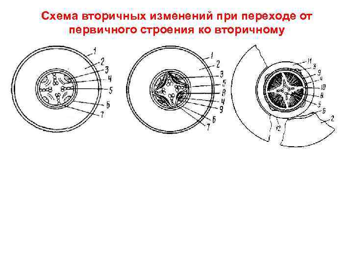 Схема вторичных часов