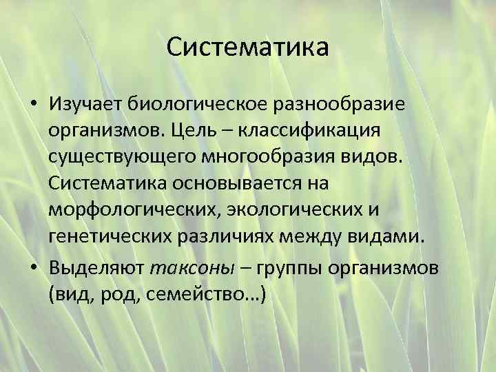 Систематика • Изучает биологическое разнообразие организмов. Цель – классификация существующего многообразия видов. Систематика основывается