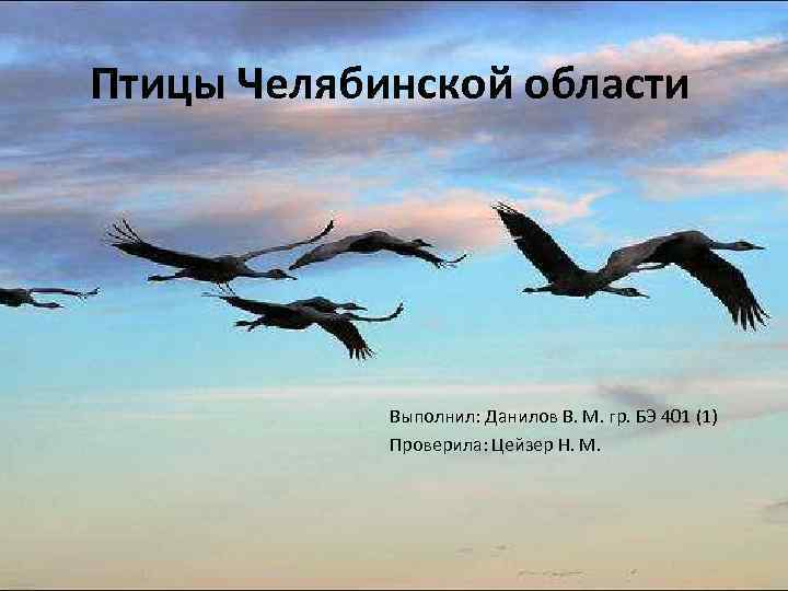 Птицы Челябинской области Выполнил: Данилов В. М. гр. БЭ 401 (1) Проверила: Цейзер Н.