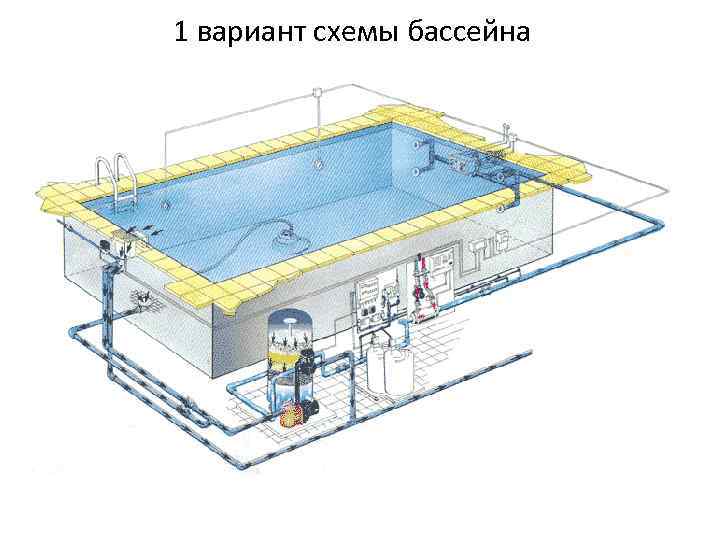 1 вариант схемы бассейна 
