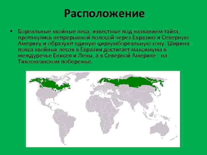 Географическое положение лесов. Зона хвойных лесов на карте мира. Размещение зоны широколиственных хвойных лесов. Зона смешанных широколиственно-хвойных лесов расположение в России. Зона широколиственных лесов Евразия.