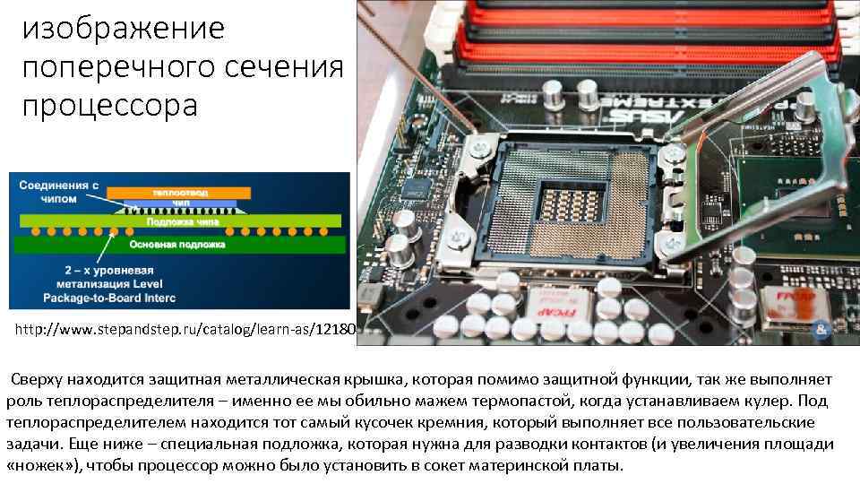 изображение поперечного сечения процессора http: //www. stepandstep. ru/catalog/learn as/121804/kak delayut processory. html Сверху находится
