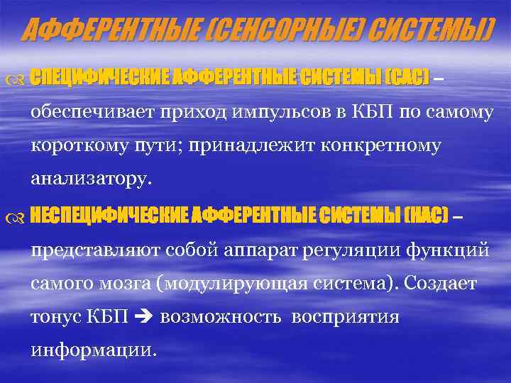 Специфическая система. Специфические и неспецифические афферентные системы. Специфические и неспецифические пути сенсорных систем. Специфическая афферентная система. Специфическая и неспецифическая афферентация.