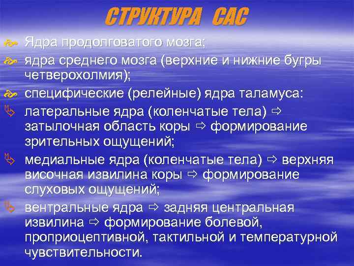 СТРУКТУРА САС Ядра продолговатого мозга; ядра среднего мозга (верхние и нижние бугры четверохолмия); специфические