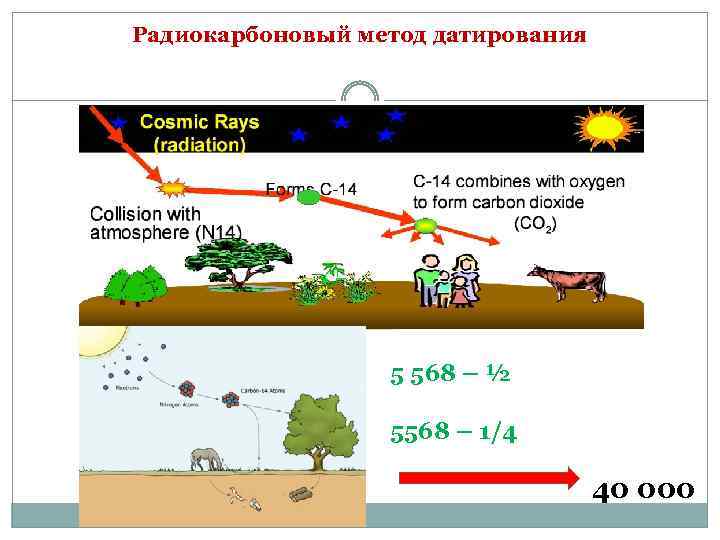 Радиокарбоновый метод датирования 5 568 – ½ 5568 – 1/4 40 000 