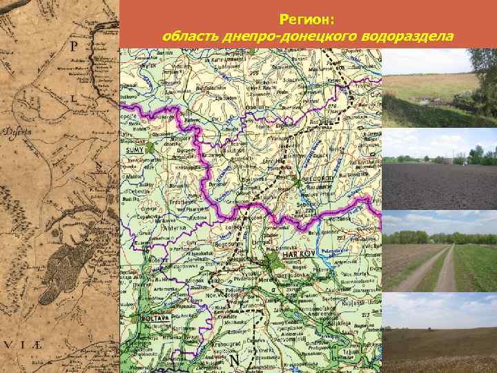 Регион: область днепро-донецкого водораздела 
