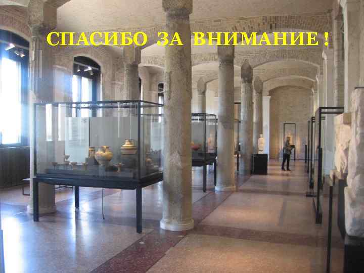 СПАСИБО ЗА ВНИМАНИЕ ! 