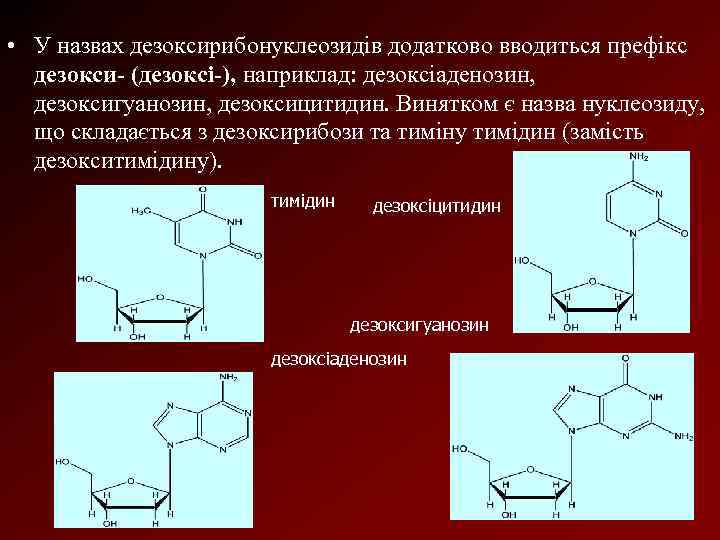  • У назвах дезоксирибонуклеозидів додатково вводиться префікс дезокси (дезоксі ), наприклад: дезоксіаденозин, дезоксигуанозин,