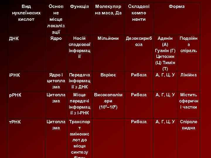 Вид нуклеїнових кислот ДНК Основ не місце локаліз ації Функція Молекуляр на маса, Да