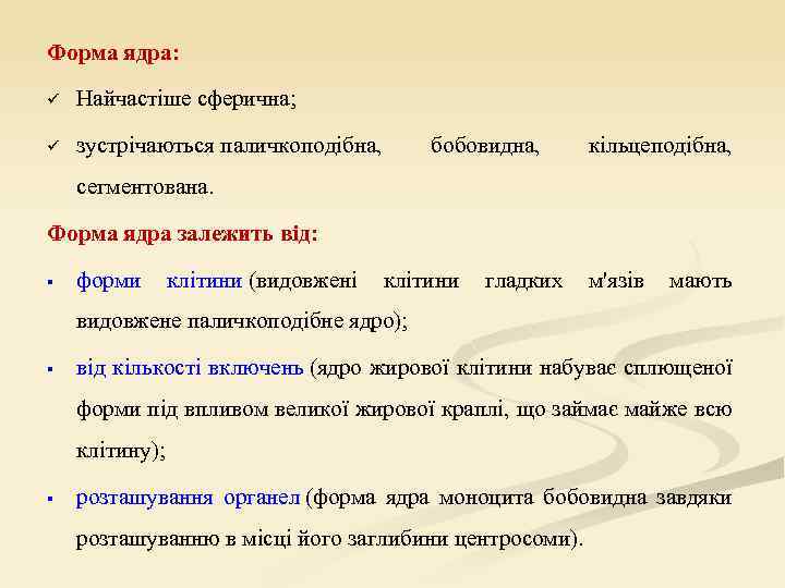 Форма ядра: ü Найчастіше сферична; ü зустрічаються паличкоподібна, бобовидна, кільцеподібна, сегментована. Форма ядра залежить