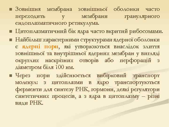 n n Зовнішня мембрана зовнішньої оболонки часто переходить у мембрани гранулярного ендоплазматичного ретикулума. Цитоплазматичний