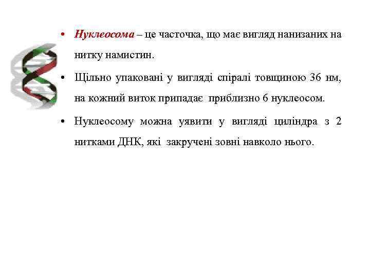  • Нуклеосома – це часточка, що має вигляд нанизаних на нитку намистин. •