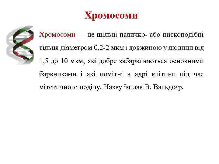 Хромосоми — це щільні паличко або ниткоподібні тільця діаметром 0, 2 2 мкм і