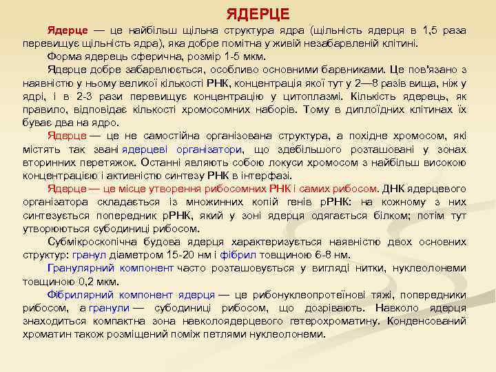 ЯДЕРЦЕ Ядерце — це найбільш щільна структура ядра (щільність ядерця в 1, 5 раза