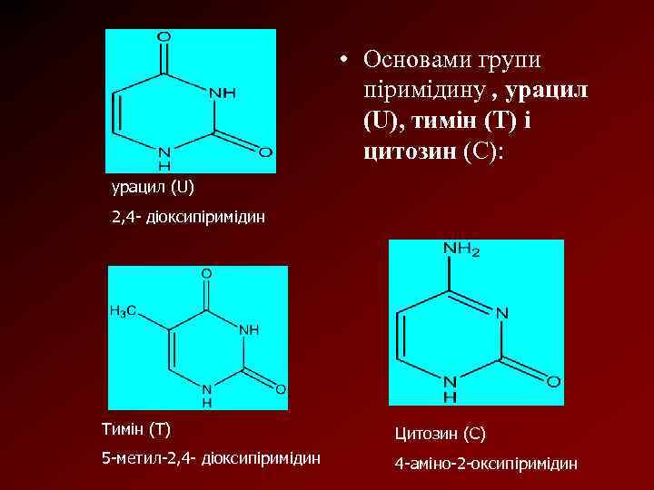  • Основами групи піримідину , урацил (U), тимін (Т) і цитозин (С): урацил