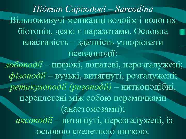 Підтип Саркодові – Sarcodina Вільноживучі мешканці водойм і вологих біотопів, деякі є паразитами. Основна