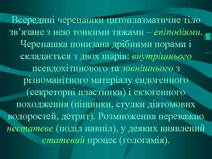 Всередині черепашки цитоплазматичне тіло зв’язане з нею тонкими тяжами – епіподіями. Черепашка понизана дрібними