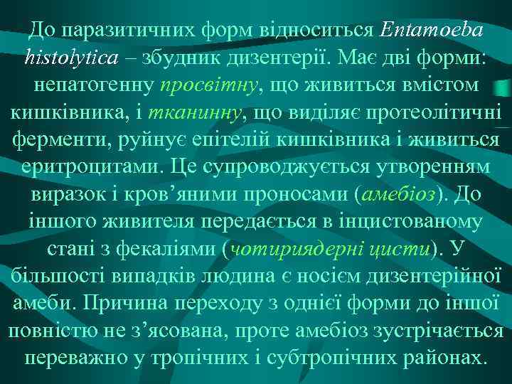 До паразитичних форм відноситься Entamoeba histolytica – збудник дизентерії. Має дві форми: непатогенну просвітну,