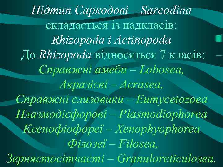 Підтип Саркодові – Sarcodina складається із надкласів: Rhizopoda i Actinopoda До Rhizopoda відносяться 7