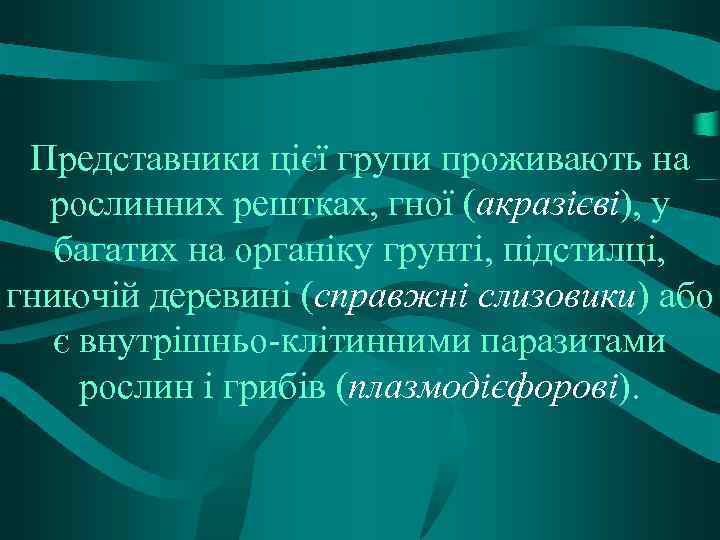 Представники цієї групи проживають на рослинних рештках, гної (акразієві), у багатих на органіку грунті,