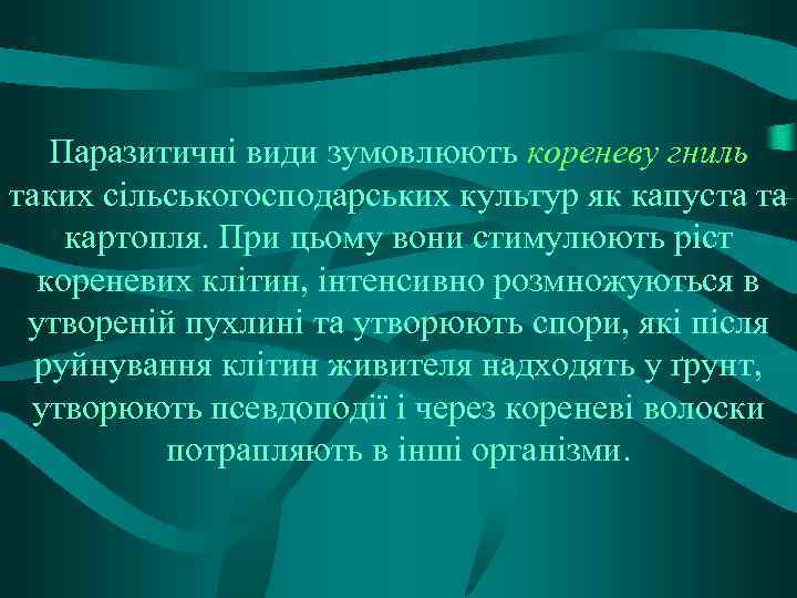 Паразитичні види зумовлюють кореневу гниль таких сільськогосподарських культур як капуста та картопля. При цьому