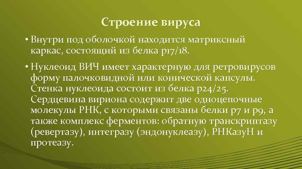 Строение вируса • Внутри под оболочкой находится матриксный каркас, состоящий из белка p 17/18.