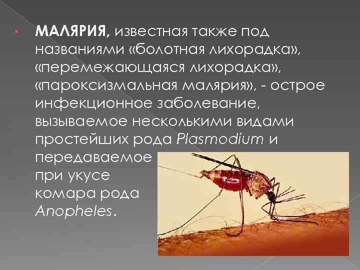 Почему для борьбы с малярией. Пути заражения малярией. Комары. Механизм заражения. Способы заражения малярией. Пути заражения человека малярией.