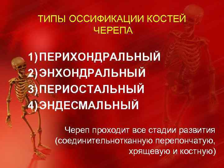 ТИПЫ ОССИФИКАЦИИ КОСТЕЙ ЧЕРЕПА 1) ПЕРИХОНДРАЛЬНЫЙ 2) ЭНХОНДРАЛЬНЫЙ 3) ПЕРИОСТАЛЬНЫЙ 4) ЭНДЕСМАЛЬНЫЙ Череп проходит