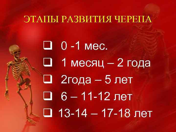 ЭТАПЫ РАЗВИТИЯ ЧЕРЕПА q q q 0 -1 месяц – 2 года 2 года
