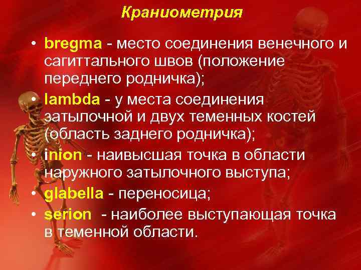 Краниометрия • bregma - место соединения венечного и сагиттального швов (положение переднего родничка); •