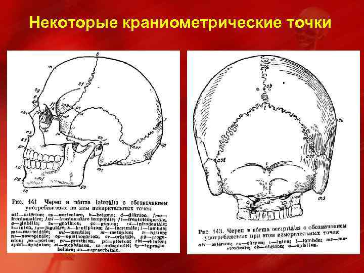 Усиление сосудистого рисунка черепа что значит