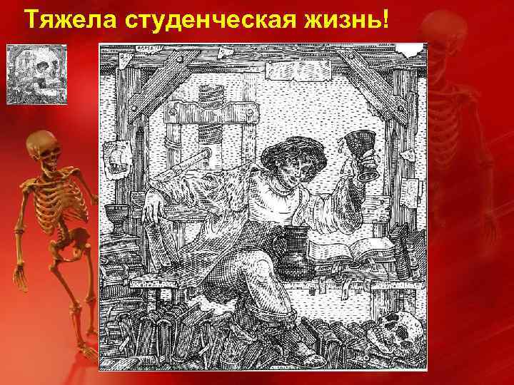 Тяжела студенческая жизнь! 