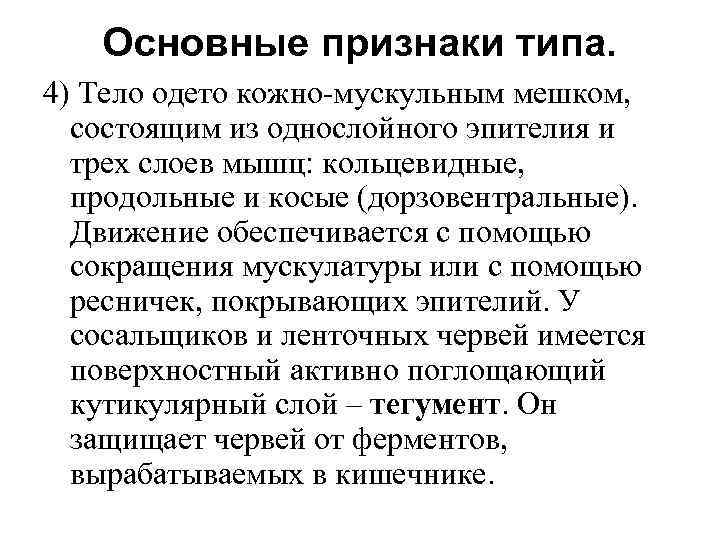 Основные признаки типа. 4) Тело одето кожно-мускульным мешком, состоящим из однослойного эпителия и трех