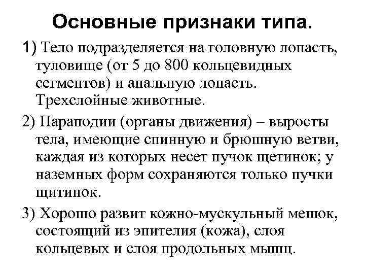 Основные признаки типа. 1) Тело подразделяется на головную лопасть, туловище (от 5 до 800