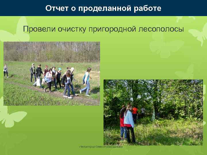 Отчет о проделанной работе Провели очистку пригородной лесополосы 