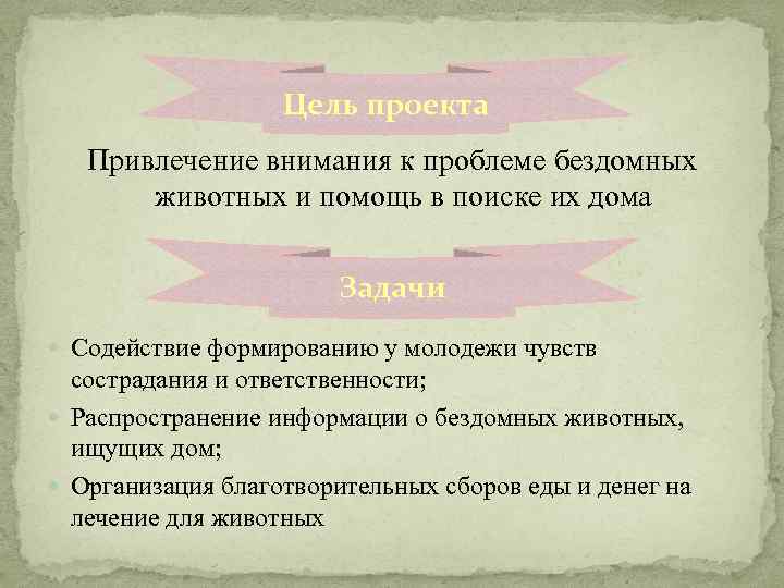 Цель проекта Привлечение внимания к проблеме бездомных животных и помощь в поиске их дома