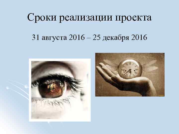 Сроки реализации проекта 31 августа 2016 – 25 декабря 2016 