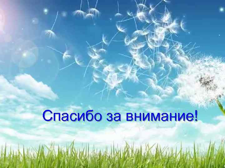 Спасибо за внимание! 