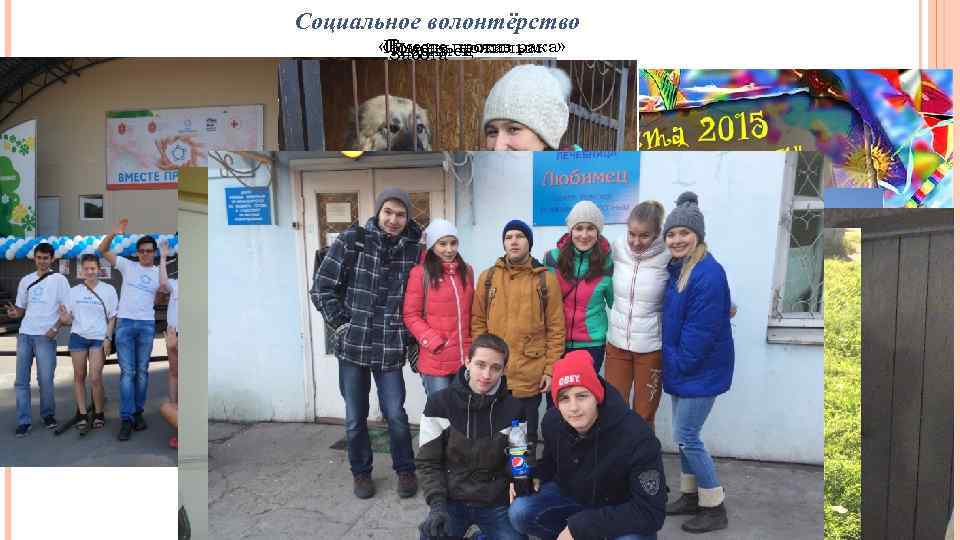 Социальное волонтёрство «Вместе против рака» Помощь пожилым Любимец Забота людям 